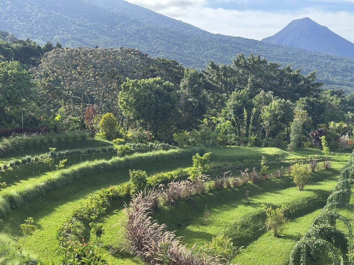 Terraced regenerative farm rows at Casa Conejo with volcano in background, El Salvador