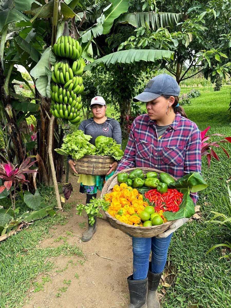 Local women harvesting fresh vegetables at Casa Conejo regenerative farm